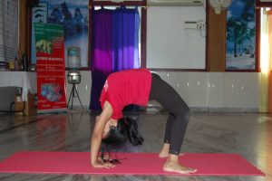 Krida Yoga (5)